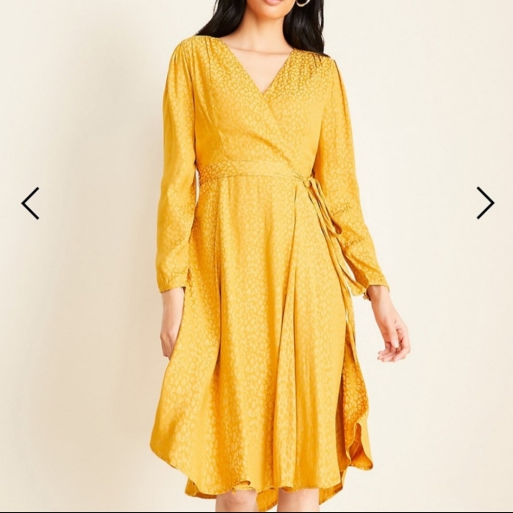 🆕️ An Taylor Leopard Print dress